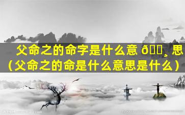 父命之的命字是什么意 🕸 思（父命之的命是什么意思是什么）